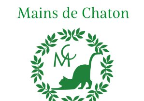 Mains de Chaton(マンドゥシャトン）│福島・伊達市・ケーキ・タルト