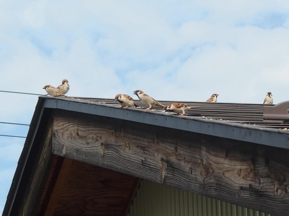 ふたつぼし メイカースペース福島 | 福島市・DIY・3Dプリンター・デジタル加工機・シェア工房