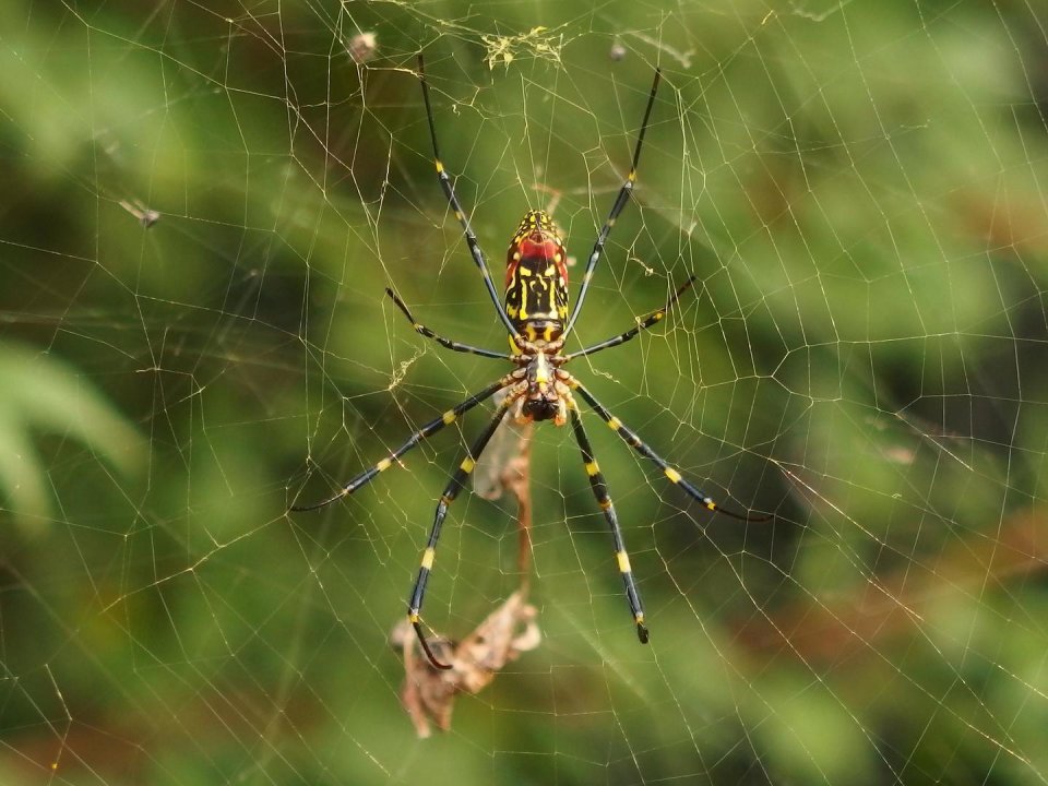 ふたつぼし メイカースペース福島 | 福島市・DIY・3Dプリンター・デジタル加工機・シェア工房