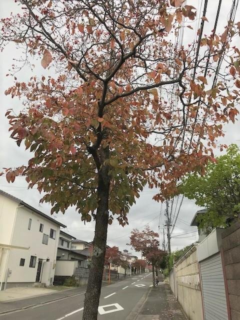 ムネカタテック株式会社