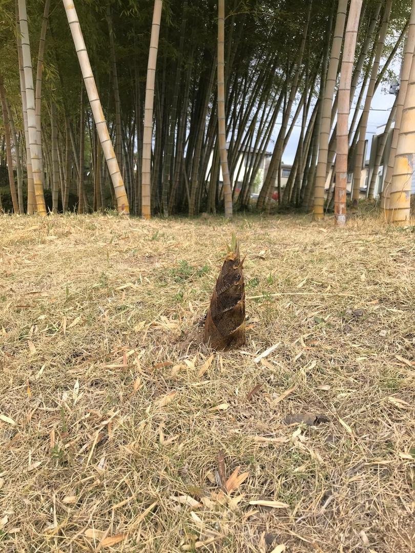 ムネカタテック株式会社