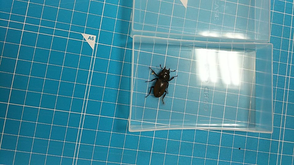 ラビット北福島店 | 福島市・車・査定・販売・買取