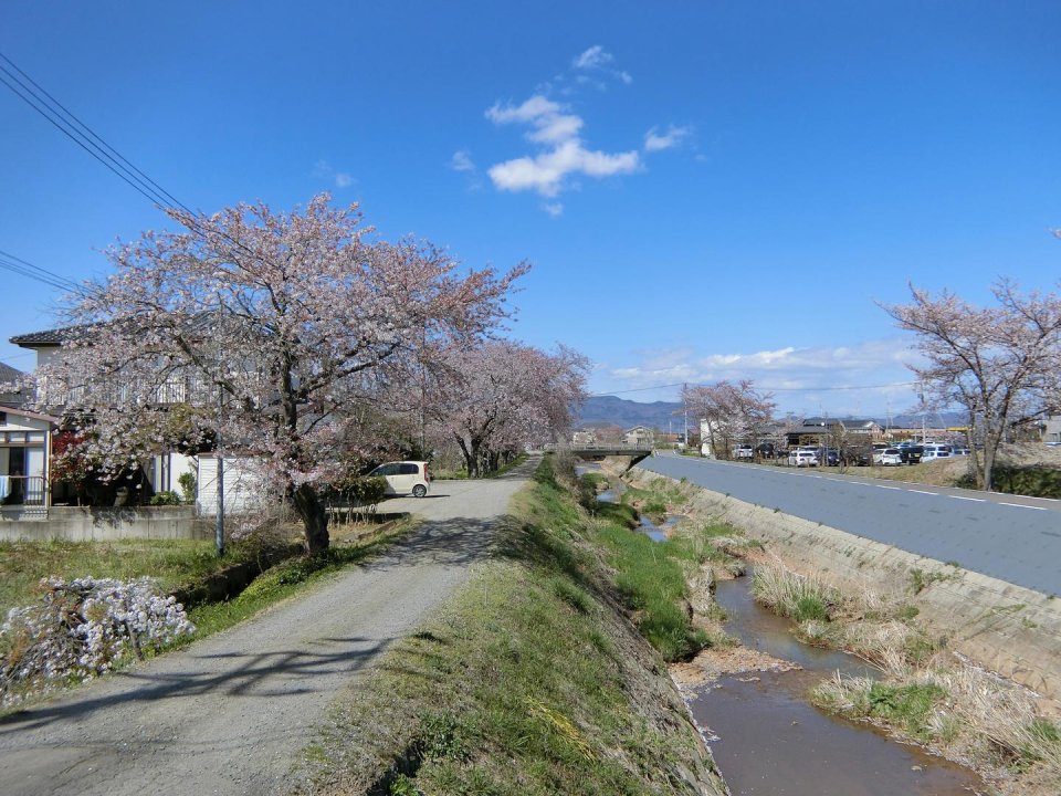 福島スイミングスクールほばら | 福島市・伊達市・保原・水泳・教室・求人・インストラクター