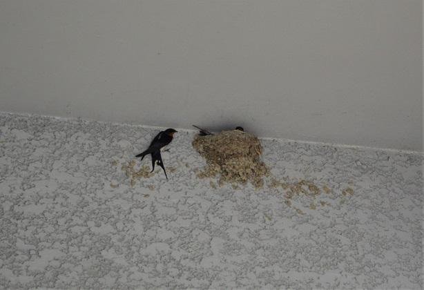 福島市音楽堂│福島市・コンサートホール・イベント