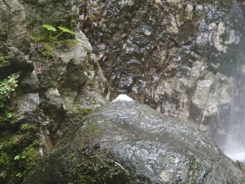 祥福山 眞龍院