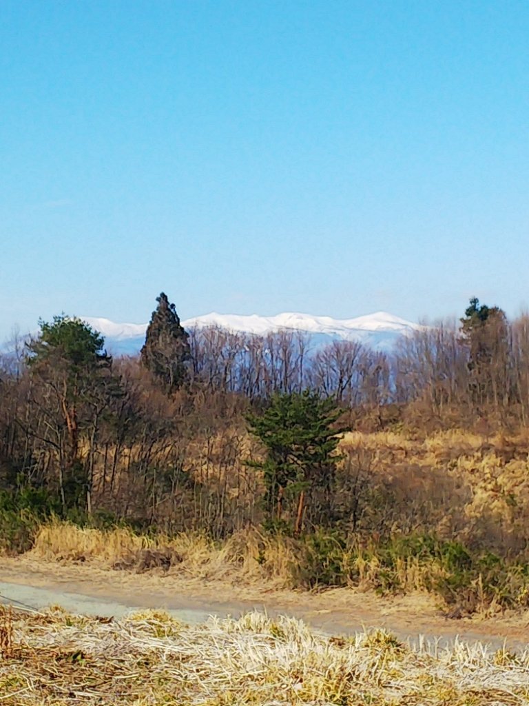 http://www.gurutto-fukushima.com/db_img/cl_img/1082/news/images/app_eYfyG3_202003071222.jpg