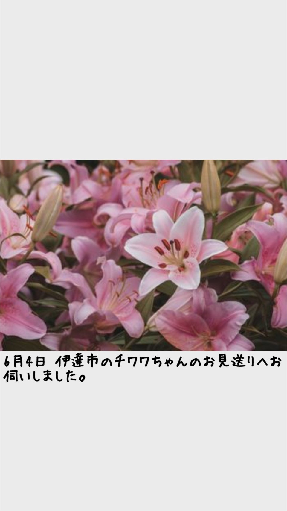 ペット訪問火葬 一縁(いちえん) | 福島市・葬儀・出張・供養