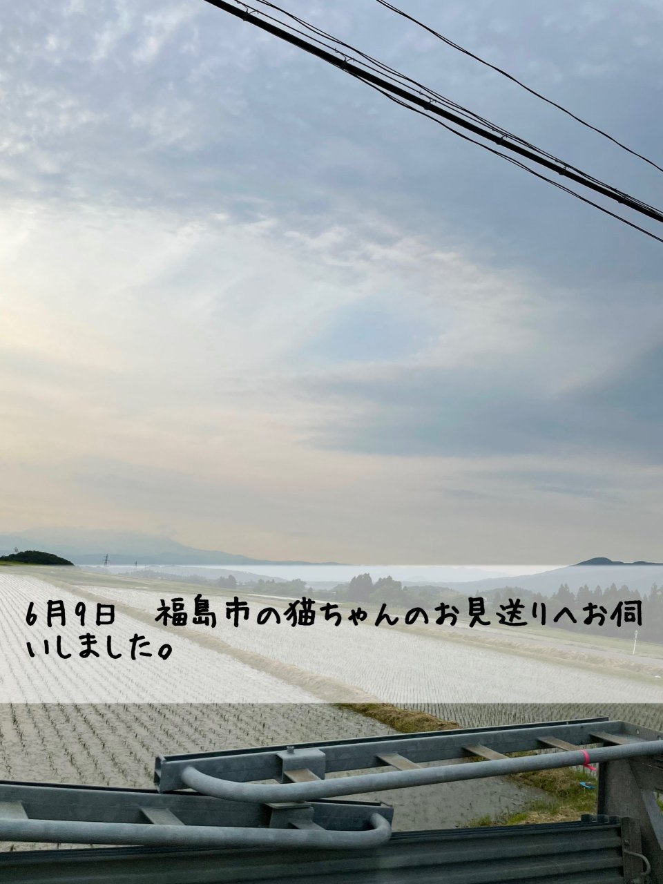 ペット訪問火葬 一縁(いちえん) | 福島市・葬儀・出張・供養