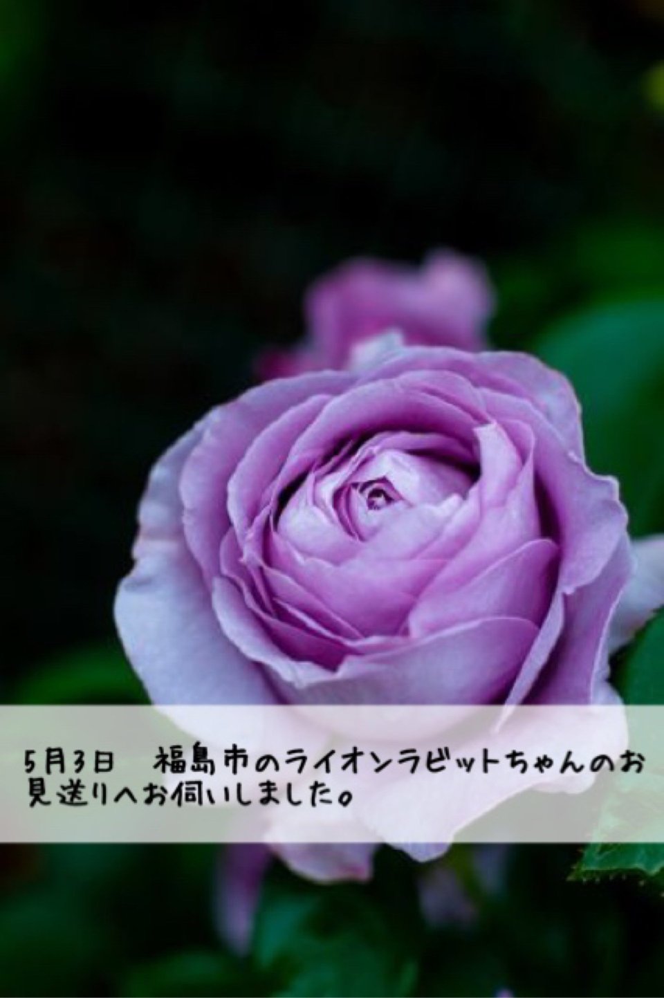 ペット訪問火葬 一縁(いちえん) | 福島市・葬儀・出張・供養
