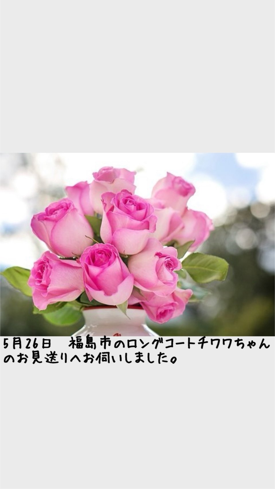 ペット訪問火葬 一縁(いちえん) | 福島市・葬儀・出張・供養