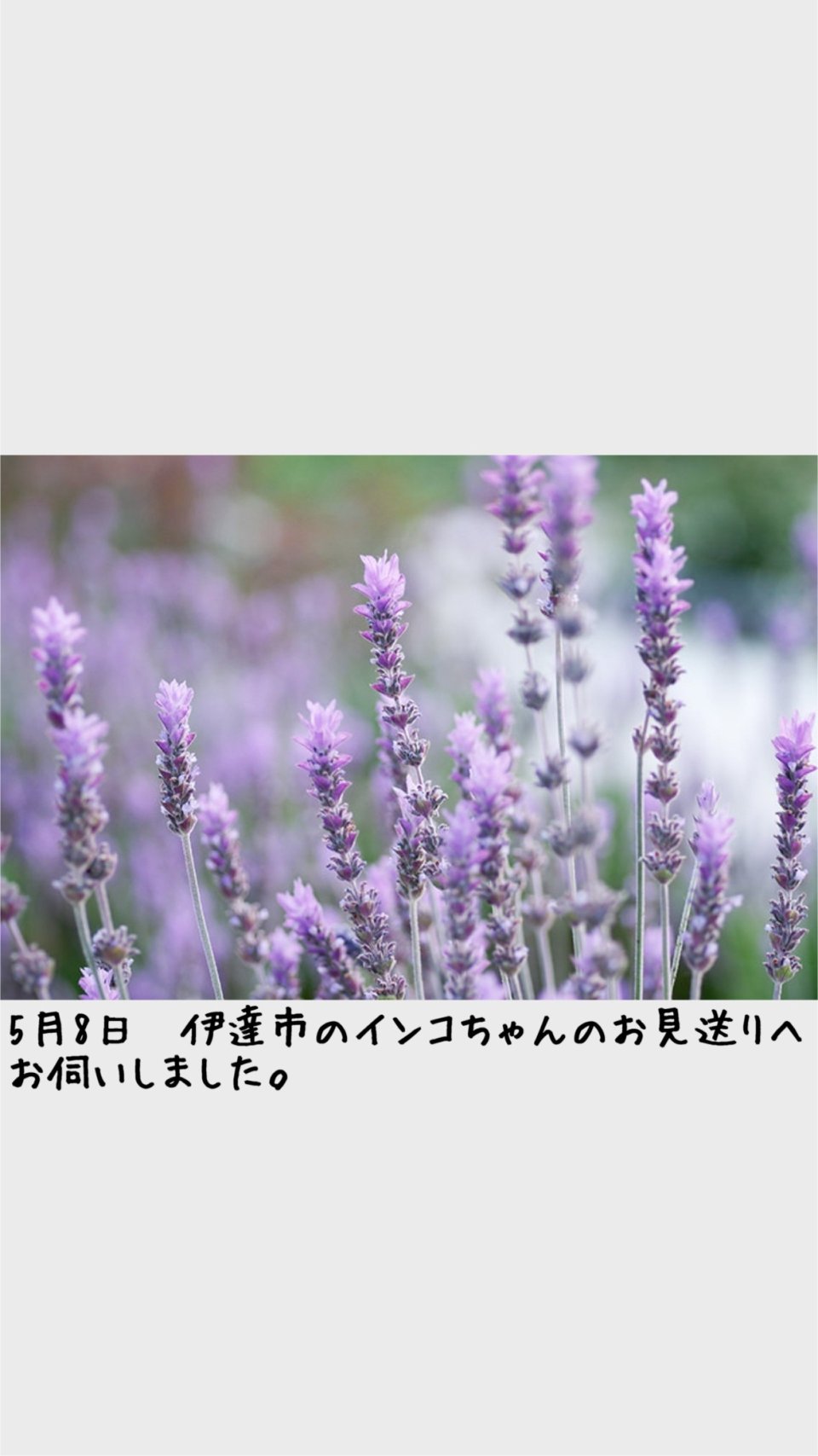 ペット訪問火葬 一縁(いちえん) | 福島市・葬儀・出張・供養