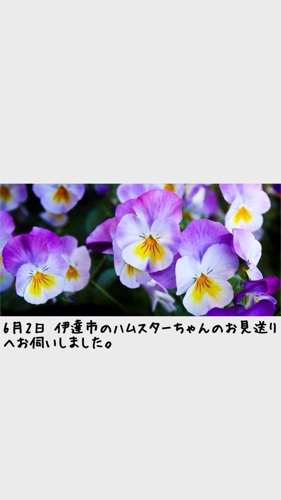 ペット訪問火葬 一縁(いちえん) | 福島市・葬儀・出張・供養