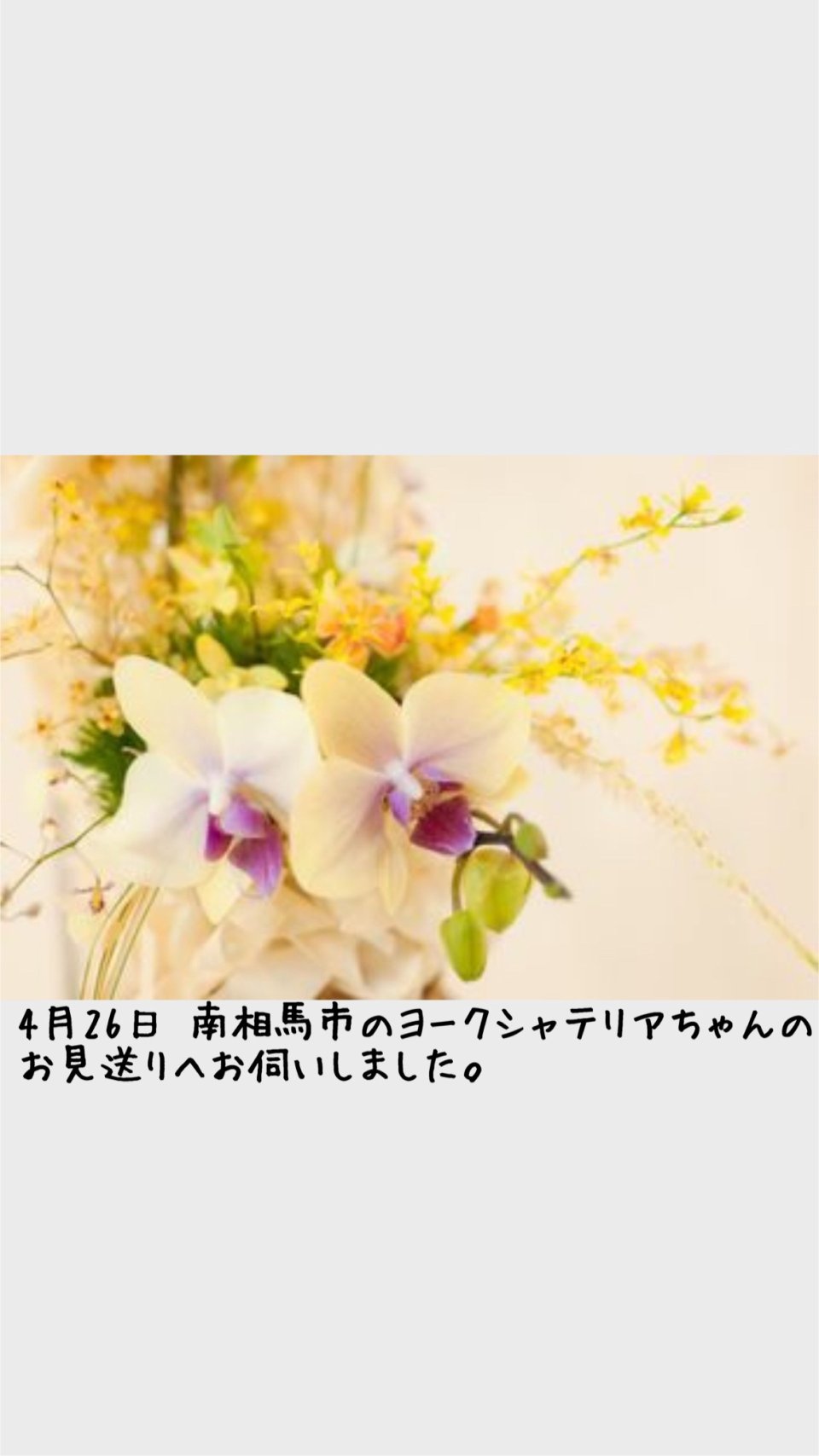 ペット訪問火葬 一縁(いちえん) | 福島市・葬儀・出張・供養