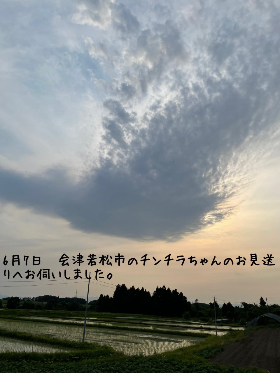 ペット訪問火葬 一縁(いちえん) | 福島市・葬儀・出張・供養