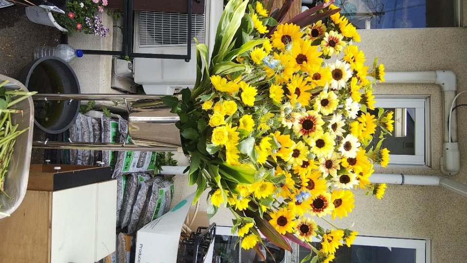 http://www.gurutto-fukushima.com/db_img/cl_img/283/news/images/app_4aNwRp_202105260040.jpg
