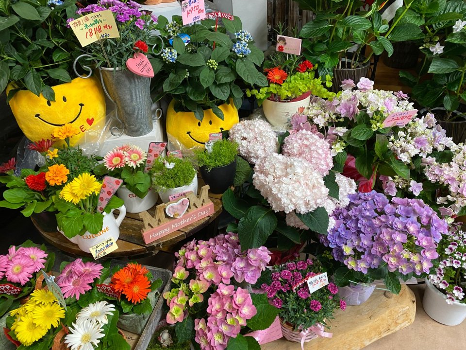 フラワーショップ花物語 │フラワーギフト・花束・お祝い・プレゼント