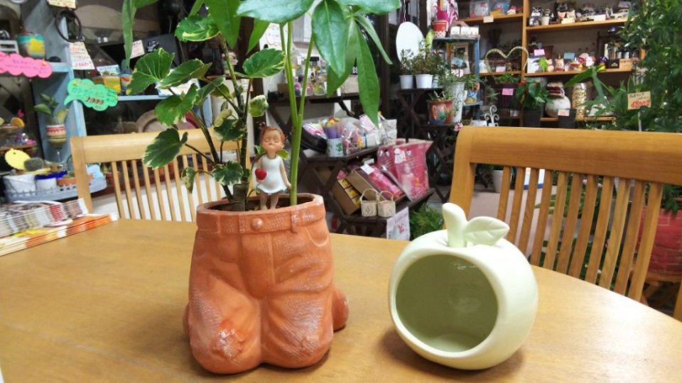 http://www.gurutto-fukushima.com/db_img/cl_img/283/news/images/app_PyppkR_201807241948.jpg