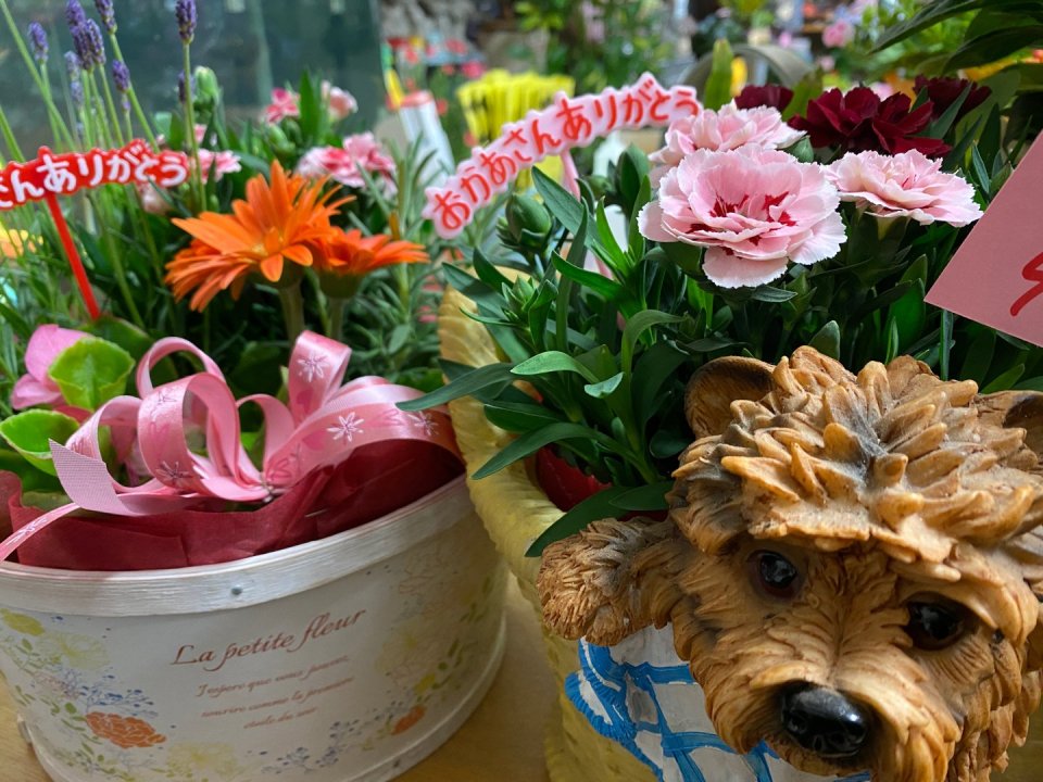フラワーショップ花物語 │フラワーギフト・花束・お祝い・プレゼント