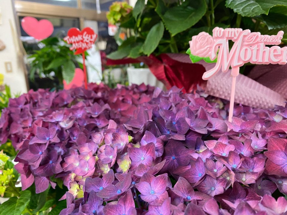 フラワーショップ花物語 │フラワーギフト・花束・お祝い・プレゼント