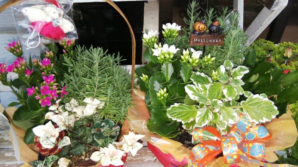 http://www.gurutto-fukushima.com/db_img/cl_img/283/news/images/app_d6S7UM_201910031649.jpg