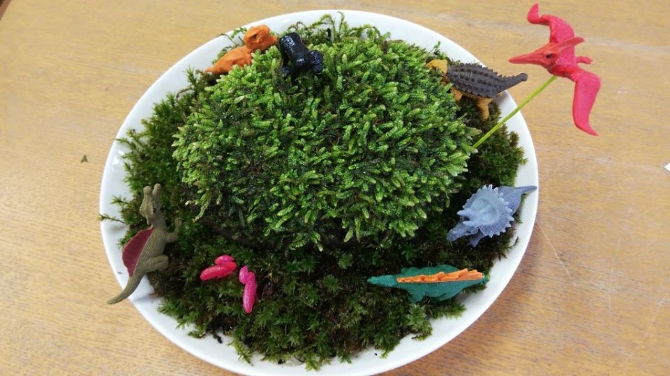 http://www.gurutto-fukushima.com/db_img/cl_img/283/news/images/app_df9fNY_201907221347.jpg