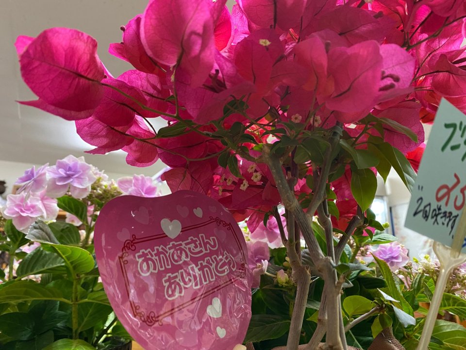 フラワーショップ花物語 │フラワーギフト・花束・お祝い・プレゼント