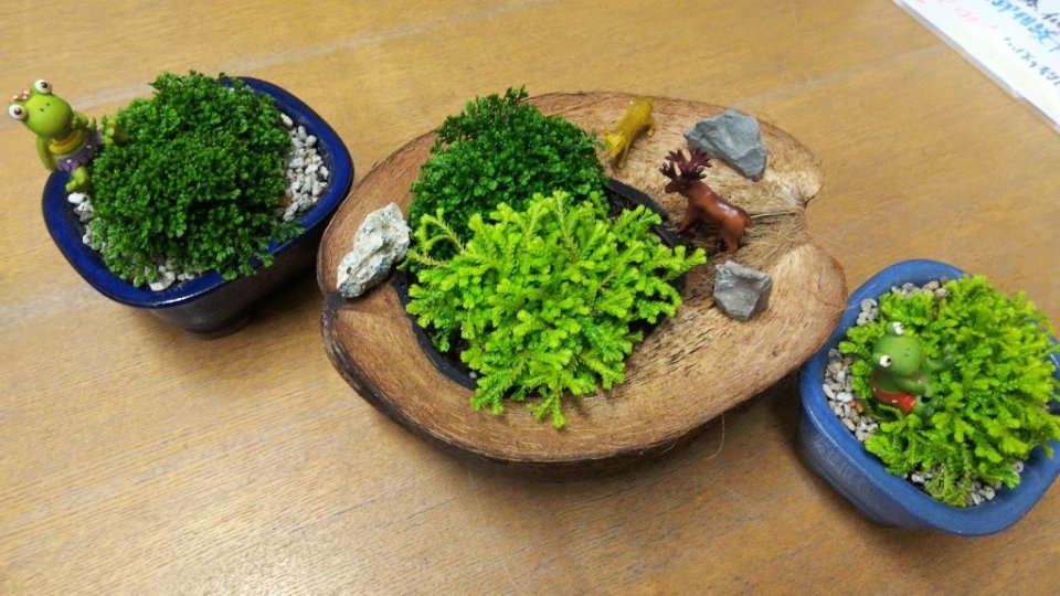 http://www.gurutto-fukushima.com/db_img/cl_img/283/news/images/app_ljpA20_202005211927.jpg