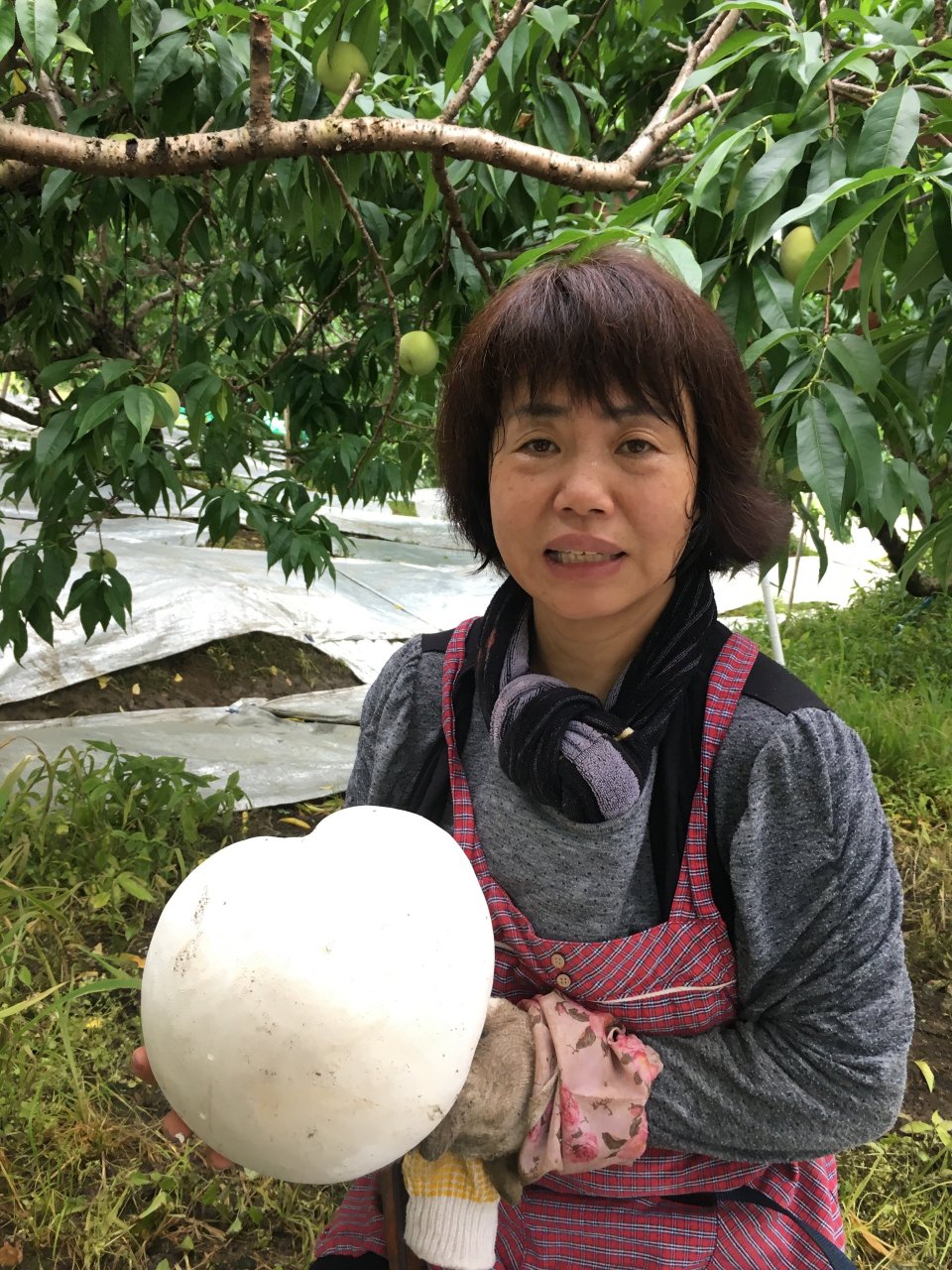 個性心理學のモーミ