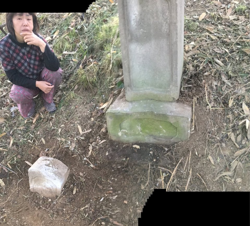 個性心理學のモーミ