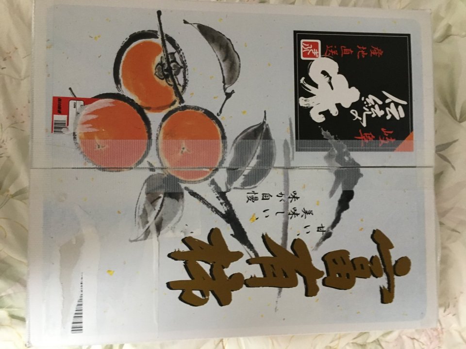 個性心理學のモーミ
