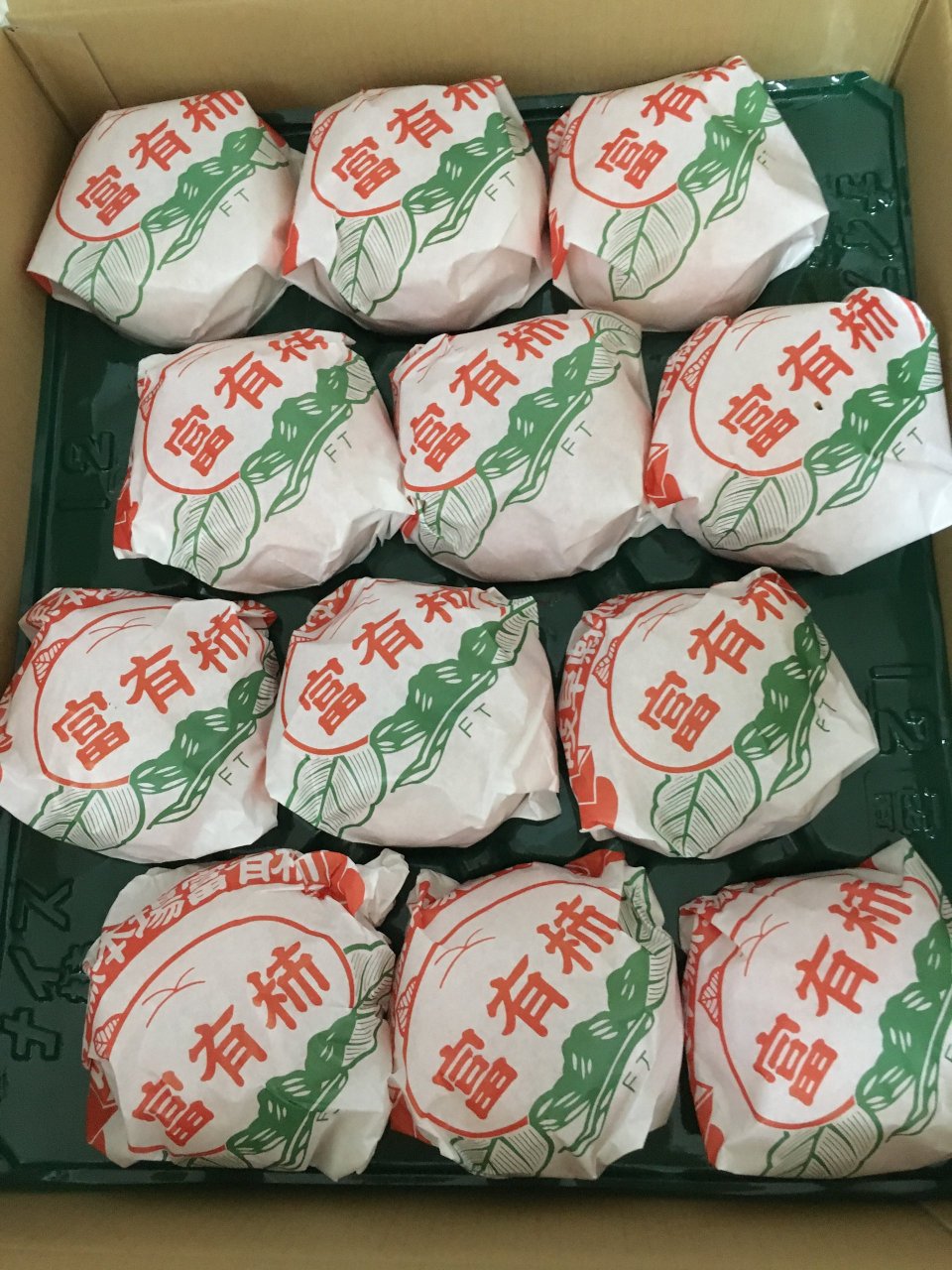 個性心理學のモーミ