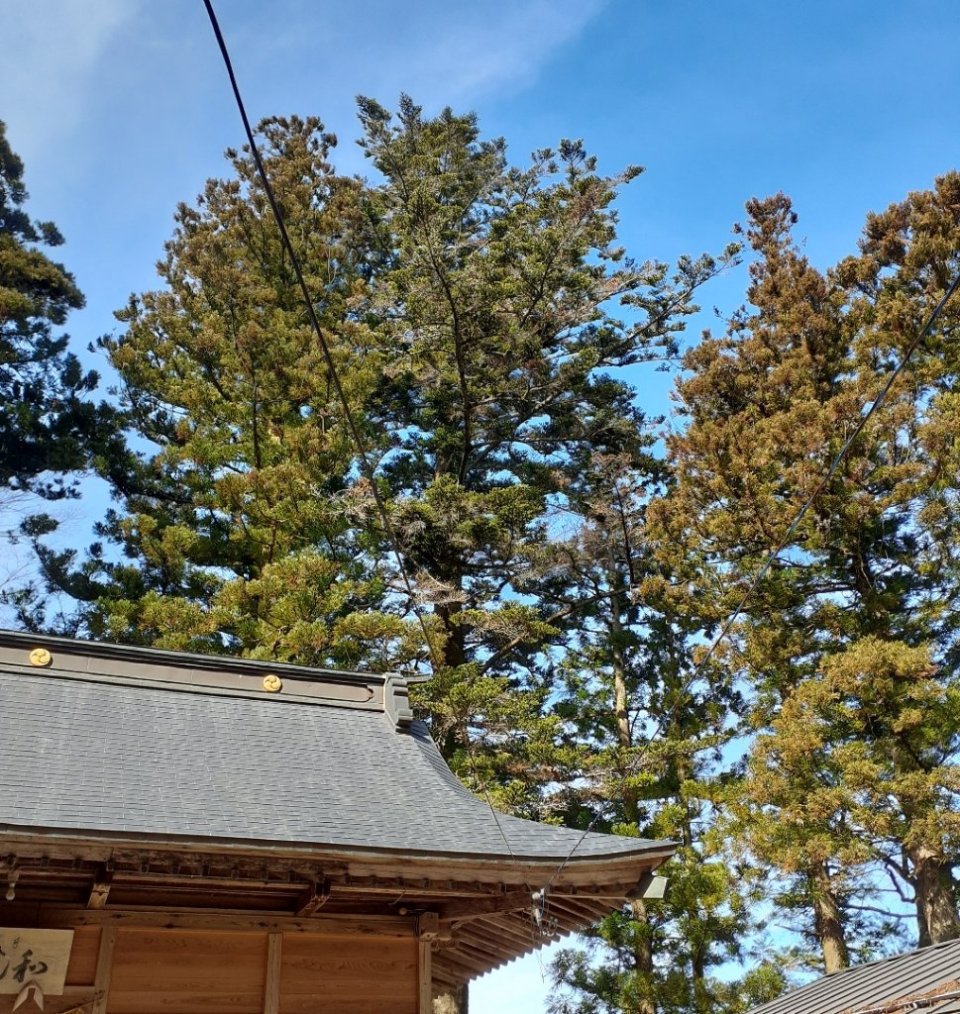 http://www.gurutto-fukushima.com/db_img/cl_img/812/news/images/app_65wA9W_202102251142.jpg