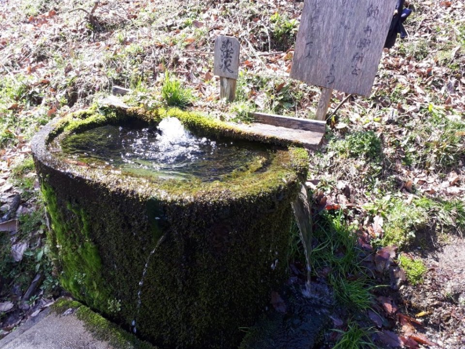 app_cJAqbG_202003251654.jpg
