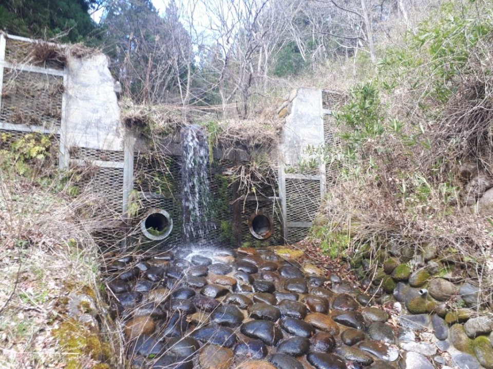 app_iupoum_202003251654.jpg