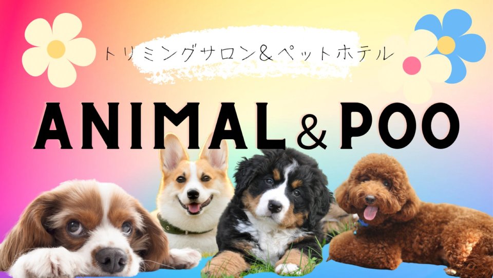 Animal(アニマル)保原店