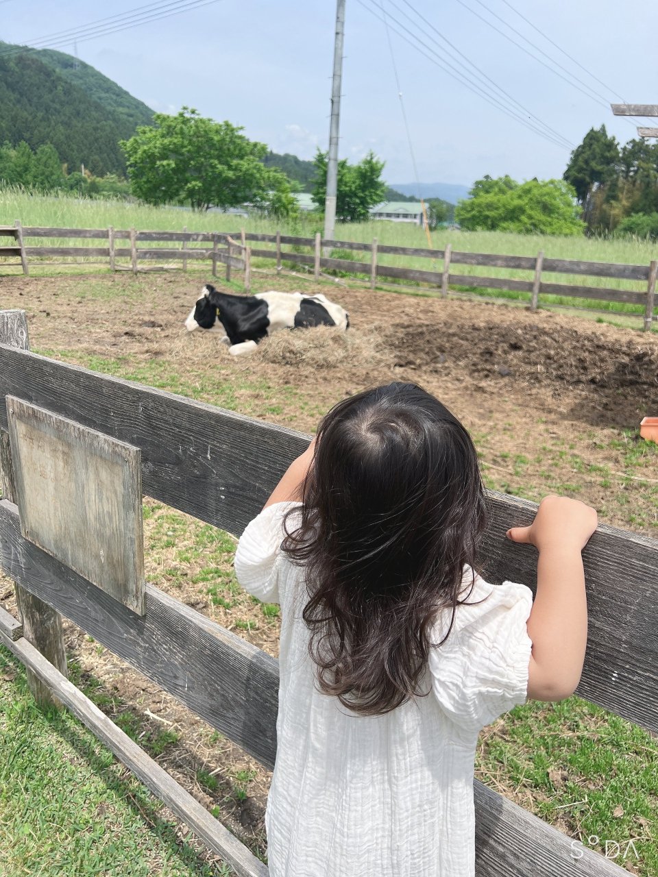 Animal(アニマル)保原店