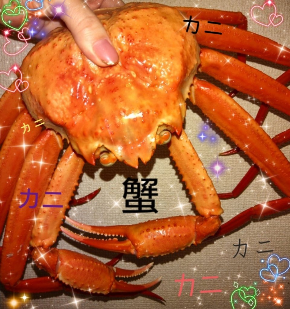 https://www.gurutto-fukushima.com/db_img/cl_img/1073/news/images/app_ISWaMX_202111231414.jpg