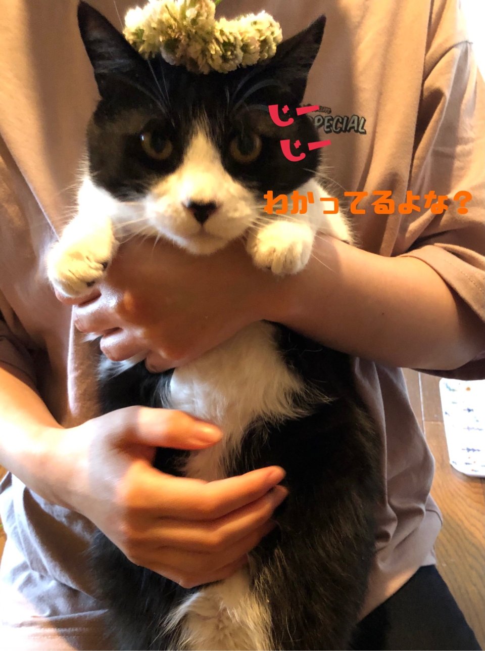 メンズ脱毛サロン KELLY(ケリー) | 福島市・脱毛・男性・専門・LUMIX・VIO