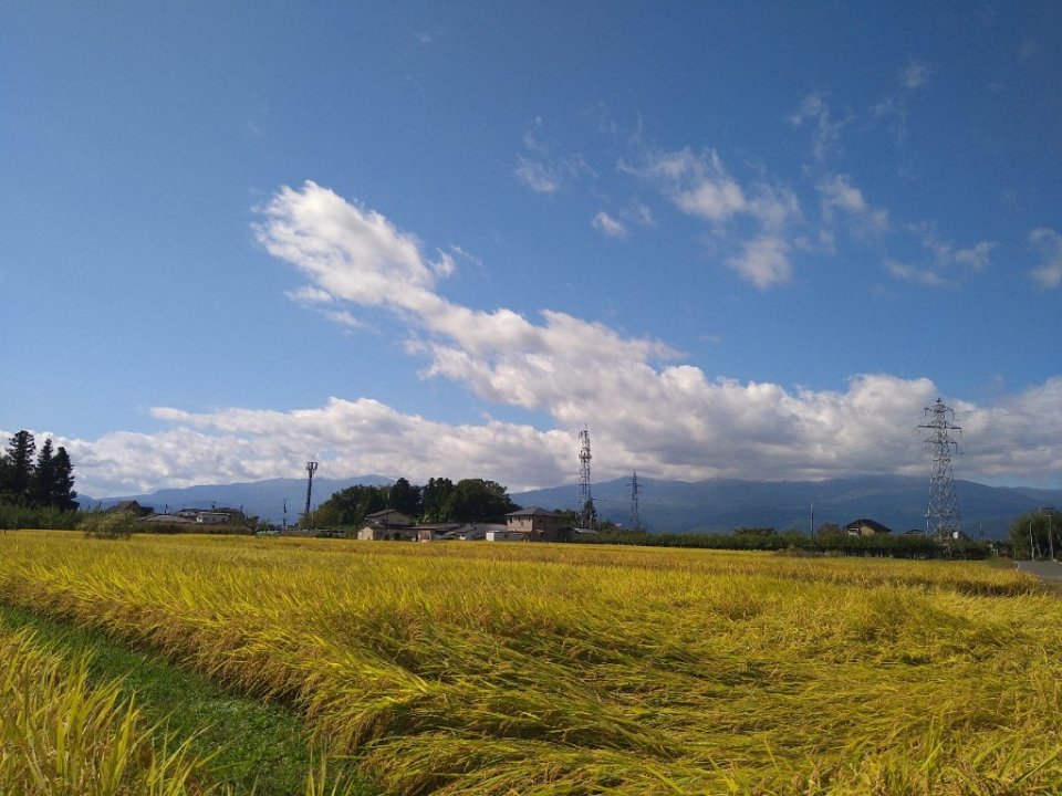 https://www.gurutto-fukushima.com/db_img/cl_img/1073/news/images/app_Ptzs46_202110061322.jpg