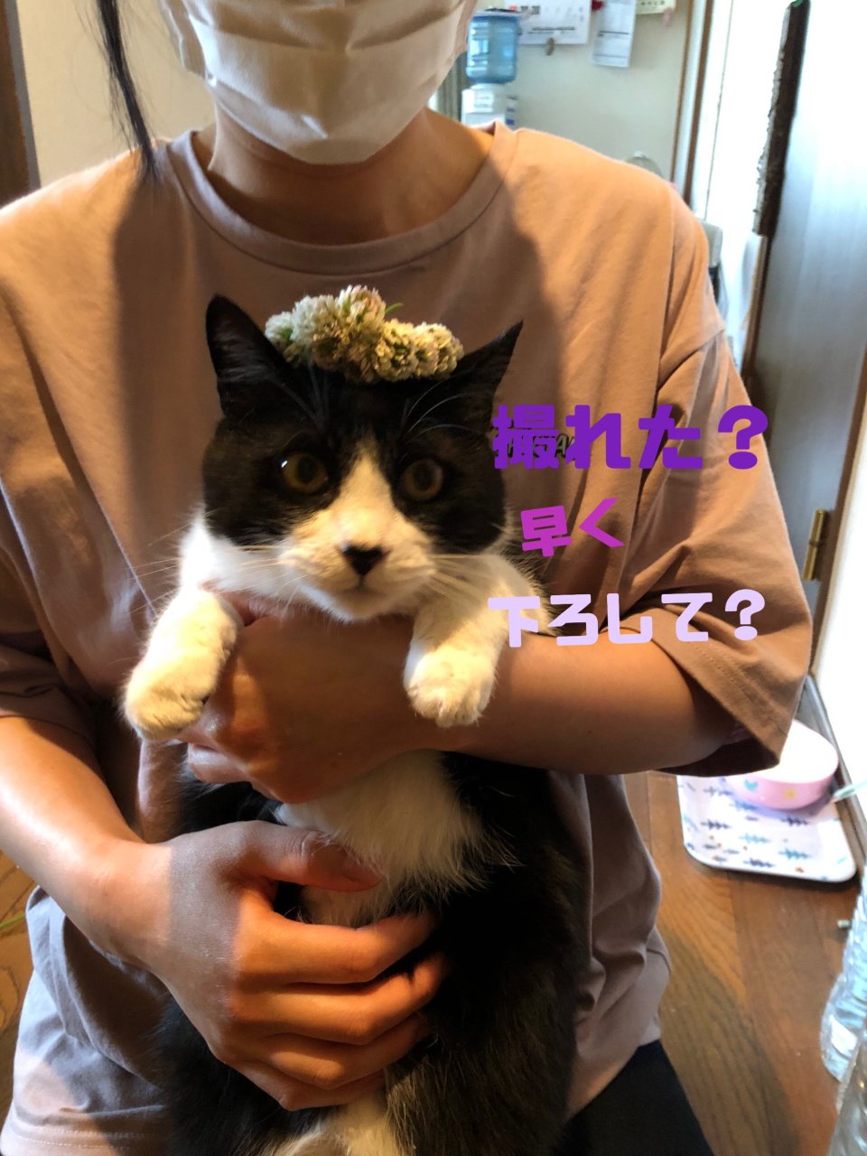 メンズ脱毛サロン KELLY(ケリー) | 福島市・脱毛・男性・専門・LUMIX・VIO