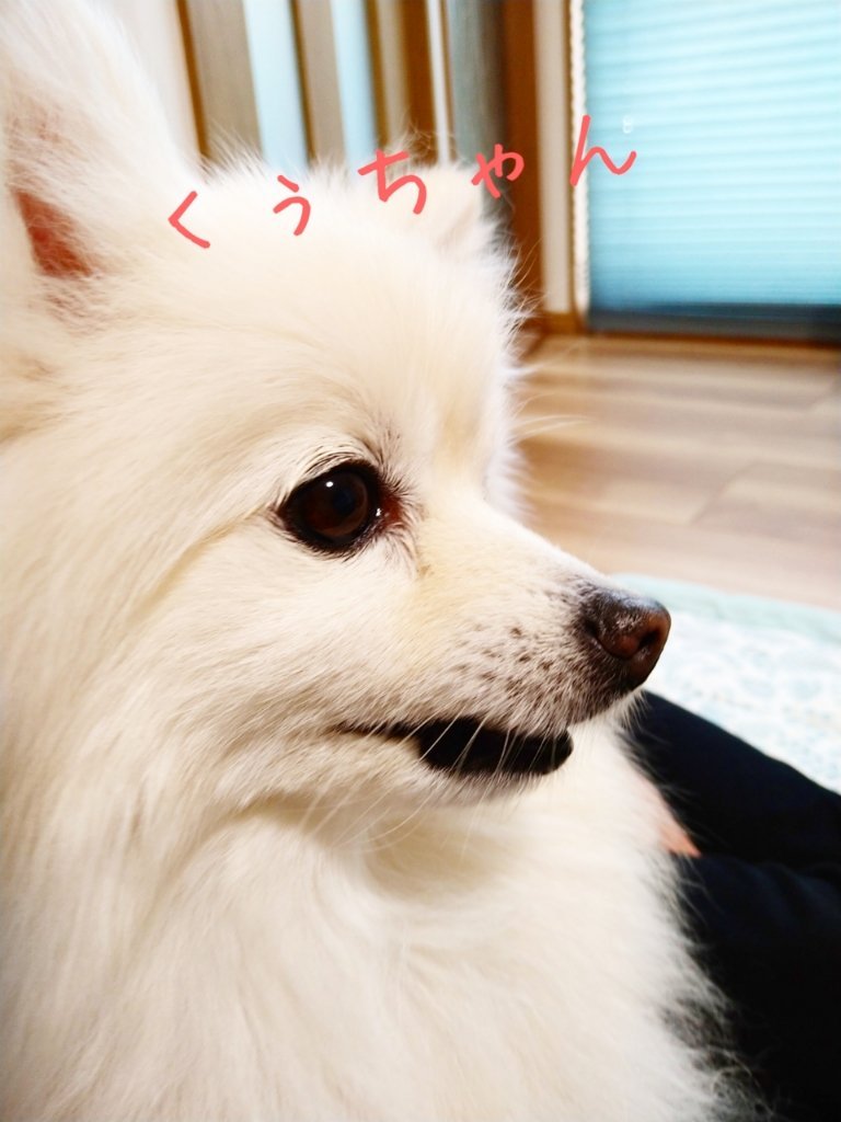 https://www.gurutto-fukushima.com/db_img/cl_img/1073/news/images/app_omWYxH_202205151843.jpg
