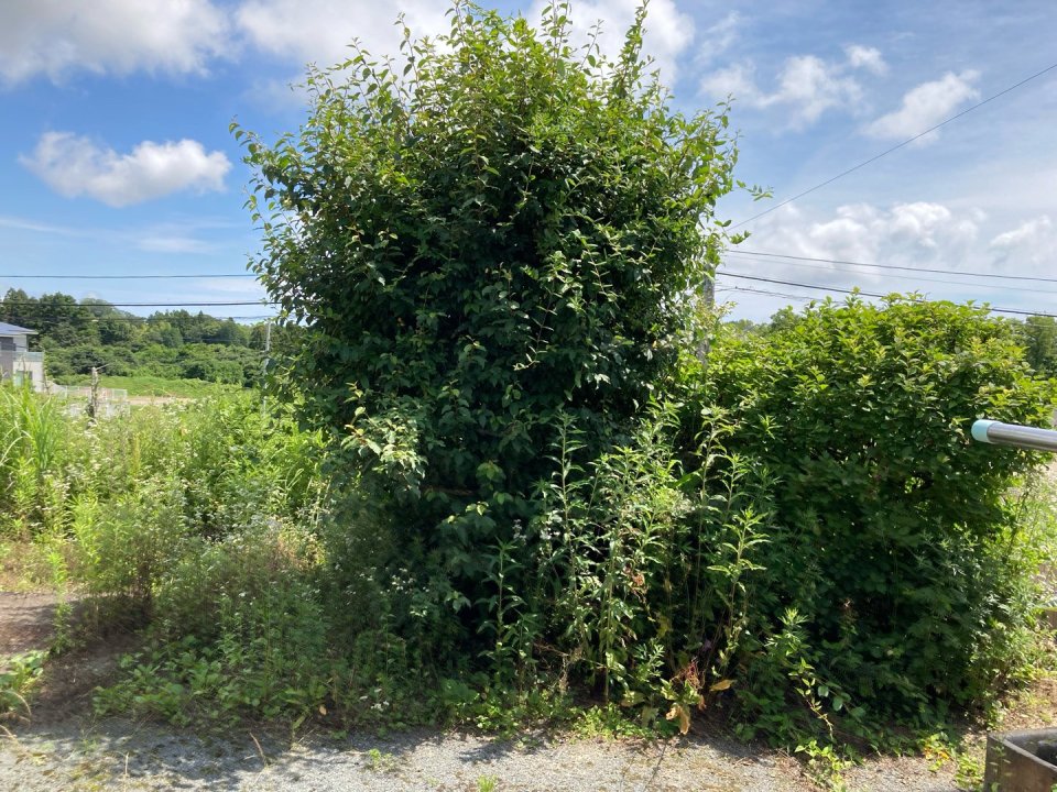 アースリサイクル|福島市・便利屋・不用品買取り・遺品整理・片付け・住宅リフォーム