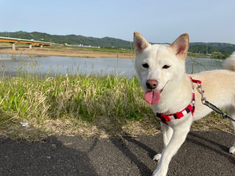 https://www.gurutto-fukushima.com/db_img/cl_img/1384/news/images/app_C2SrYV_202109010926.jpg