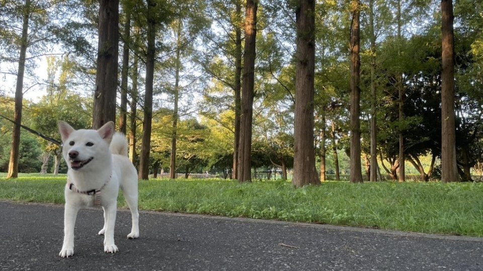 https://www.gurutto-fukushima.com/db_img/cl_img/1384/news/images/app_wmGe8B_202110070929.jpg