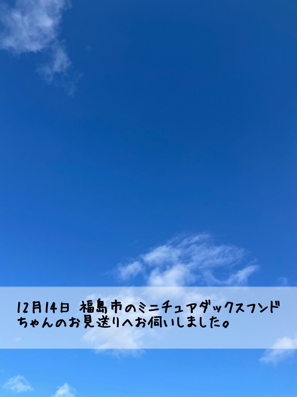 ペット訪問火葬 一縁(いちえん) | 福島市・葬儀・出張・供養