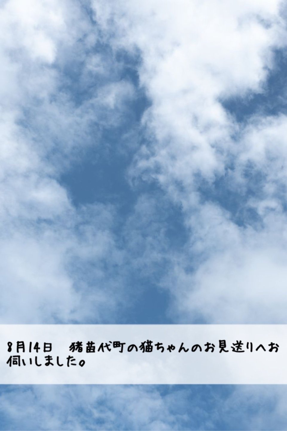 ペット訪問火葬 一縁(いちえん) | 福島市・葬儀・出張・供養