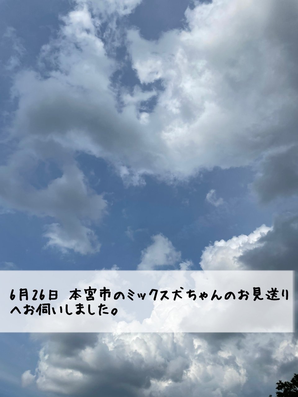 ペット訪問火葬 一縁(いちえん) | 福島市・葬儀・出張・供養