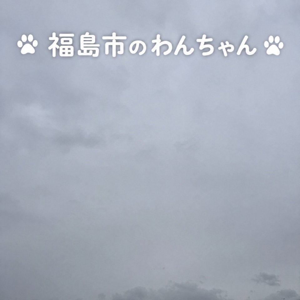 福島ペット訪問火葬 一縁(いちえん) | 葬儀・出張・供養