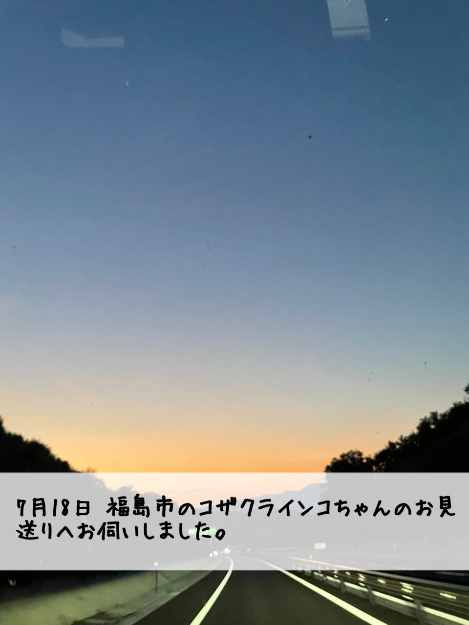 ペット訪問火葬 一縁(いちえん) | 福島市・葬儀・出張・供養