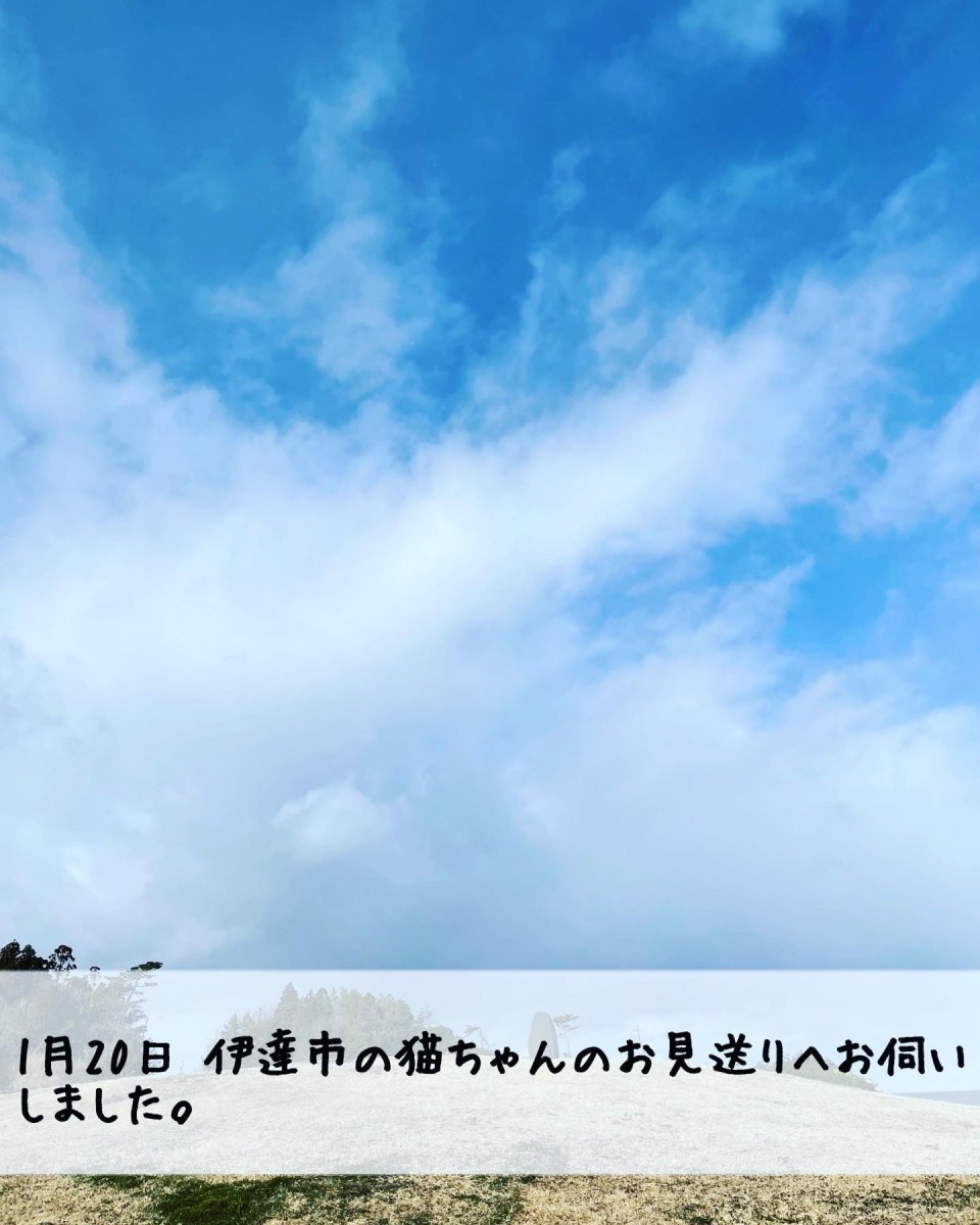 ペット訪問火葬 一縁(いちえん) | 福島市・葬儀・出張・供養